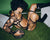 media.preview_image.alt